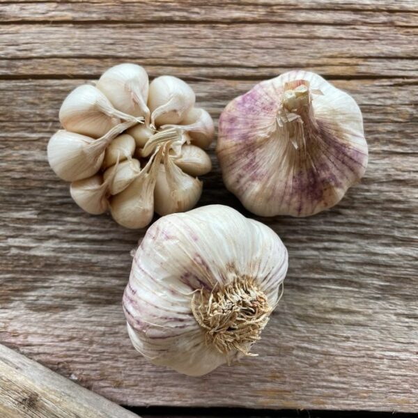 Xian Naturally Grown Garlic Bulbs