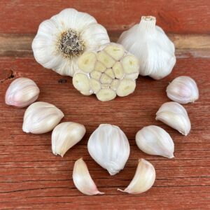 Nootka Rose Naturally Grown Garlic