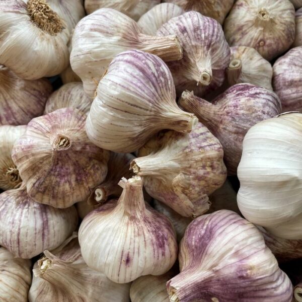 Xian Naturally Grown Garlic Bulbs