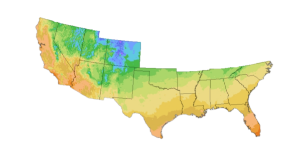 Southern States Garlic