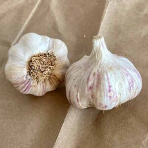 Shandong Garlic Bulbs