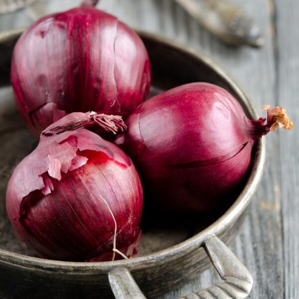 Cabernet Onion Transplants - Certified Organic