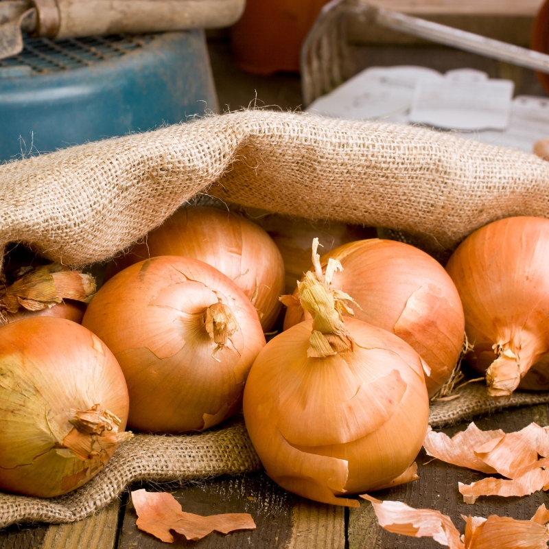 Calibra Onions Certified Organic