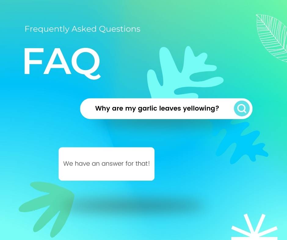 Frequently Asked Questions