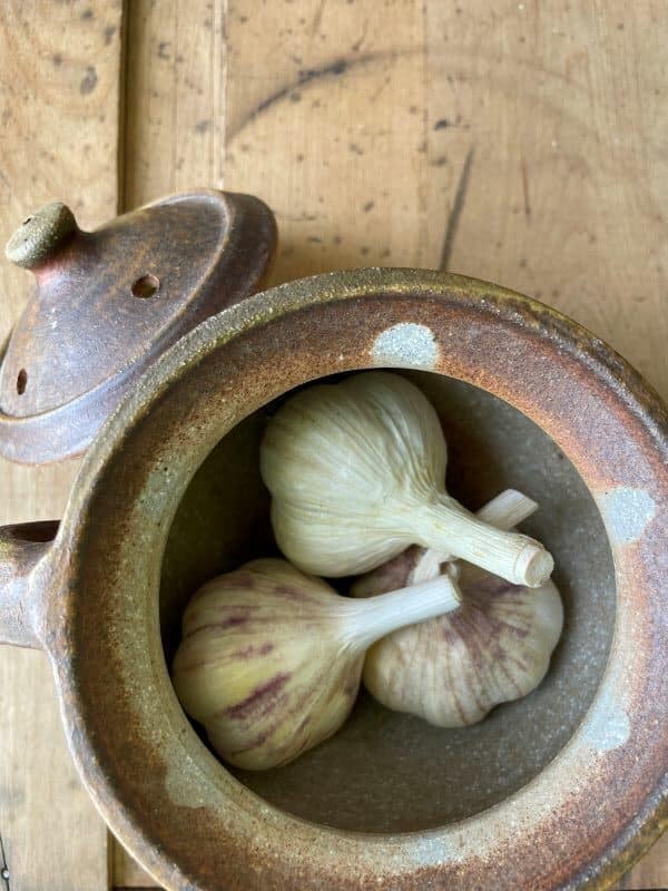 Garlic Keeper Keene Garlic