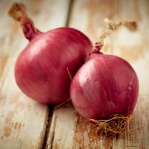 Monastrell Onion Transplants- Certified Organic