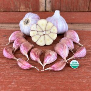 Chesnok Red Certified Organic Garlic Bulbs