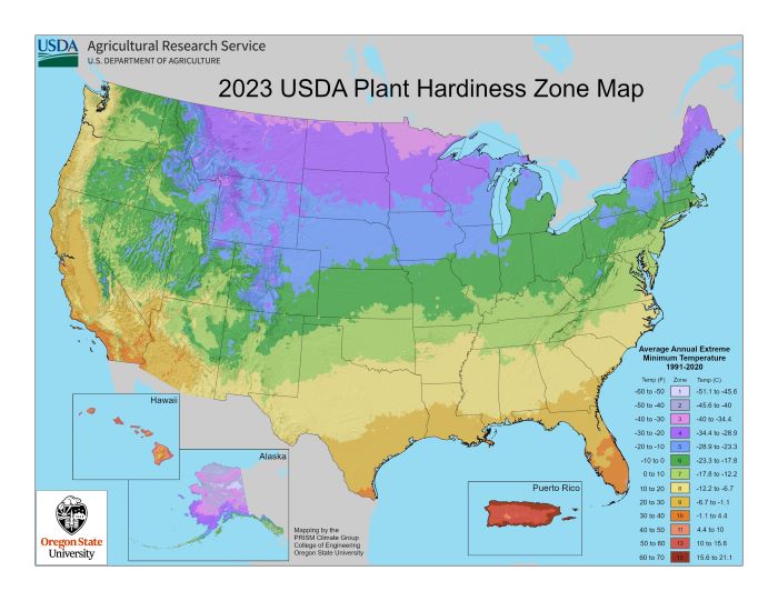 USDA Plant Hardiness Map Full Zones