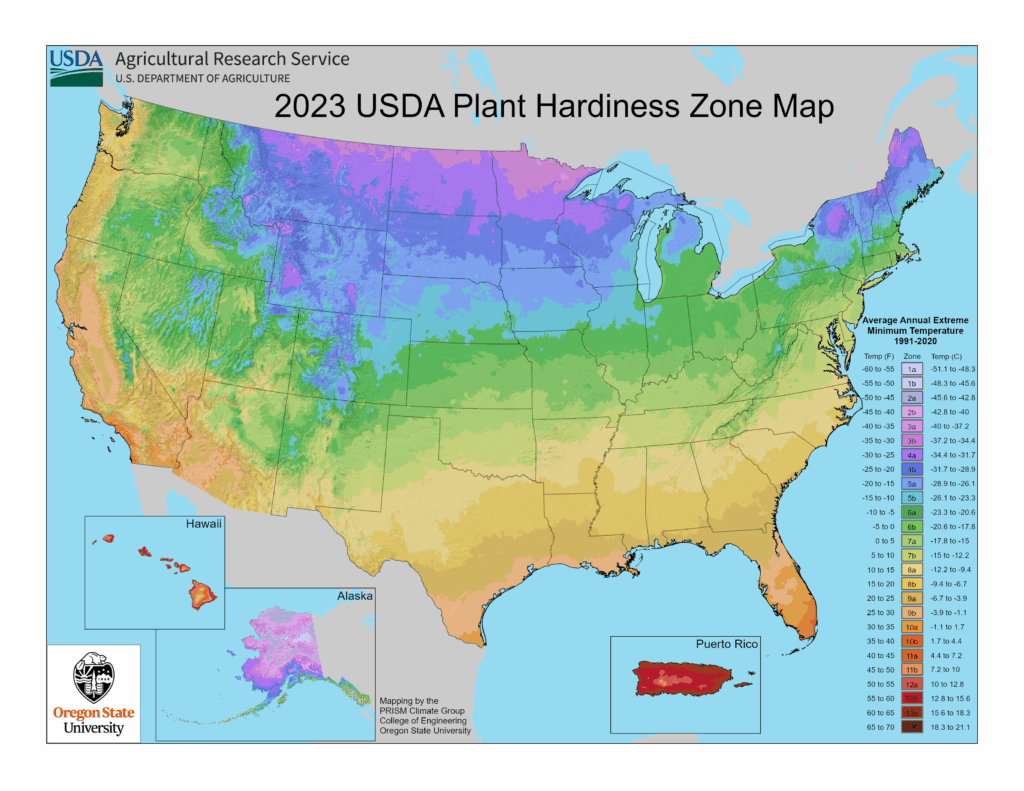 USDA Plant Hardiness Zones Updated 2023