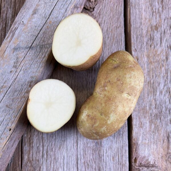 Superior Seed Potato - Organic