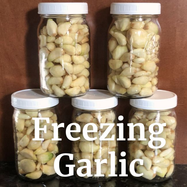 Freezing Garlic