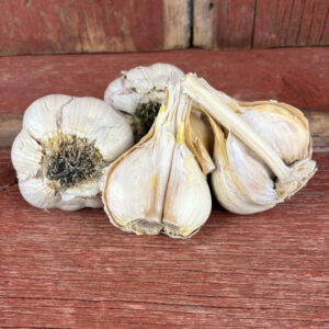 Imperfect Garlic Bulbs