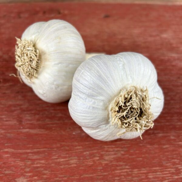 Zemo Certified Organic Garlic Bulbs
