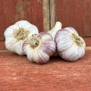 Russian Red Certified Organic Garlic
