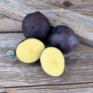 Huckleberry Gold Seed Potato - Organic
