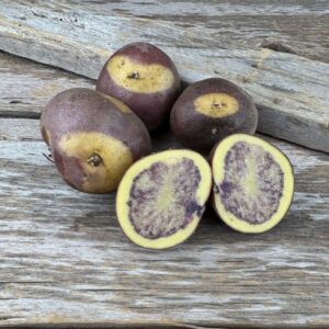 Jester Seed Potato - Organic