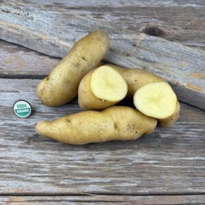Russian Banana Fingerling Seed Potato - Organic