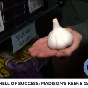 Smell of Success Channel 3000 Keene Garlic