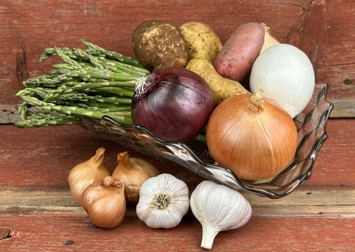 Organic Spring Vegetable for Garden Keene Garlic