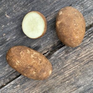 Russet Burbank Seed Potato - Organic