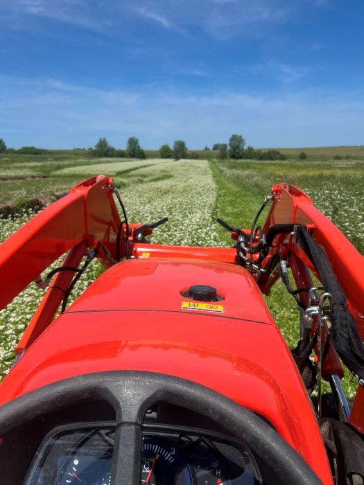 Tilling Cover Crop Keene Garlic