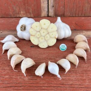 Messidor Certified Organic Garlic Bulbs