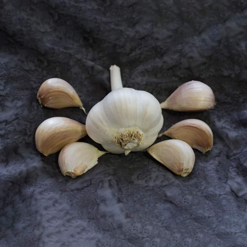 Armenian Garlic Bulb Keene Garlic