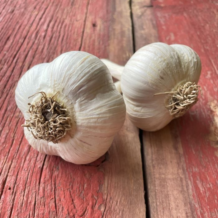 Naturally Grown Georgian Crystal Garlic